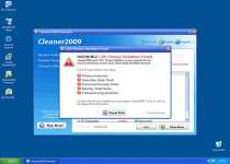 Cleaner 2009
