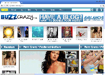 Buzzcrazy.com Screenshot 1