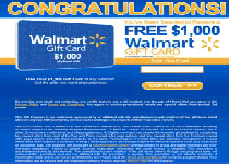 Fake $1000 Walmart Gift Card Winner Screenshot 2