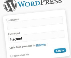 brute force malware attack guess wordpress passwords