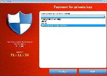 CryptoLocker Ransomware Screenshot 2