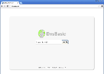 Dnsbasic.com Screenshot 1