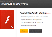 Flash Player Update is Required to View this Content Virus Screenshot 1