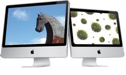 yontoo trojan mac osx malware blocked