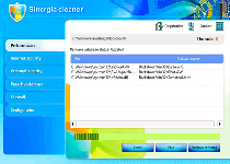 Sinergia Cleaner Screenshot 3