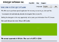 BitCrypt Ransomware Screenshot 1