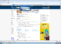 DictionaryBoss Toolbar Screenshot 2