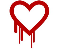 Heartbleed vulnerability