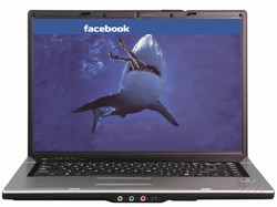 woman eaten by shark facebook scam malicious software