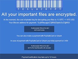 crypto ransomware types growing