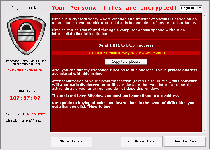 CryptoLocker Ransomware Screenshot 13