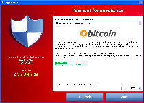 CryptoLocker Ransomware Screenshot 7