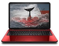 anonymous hackers ddos attack japan nissan protest whaling