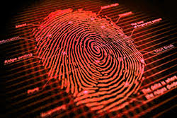 microsoft next os biometric security more cybersecurity