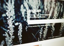 a computer screen with a picture of a plant on it