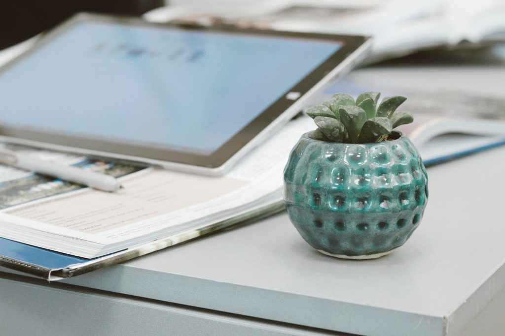 green plant in blue ceramic vase